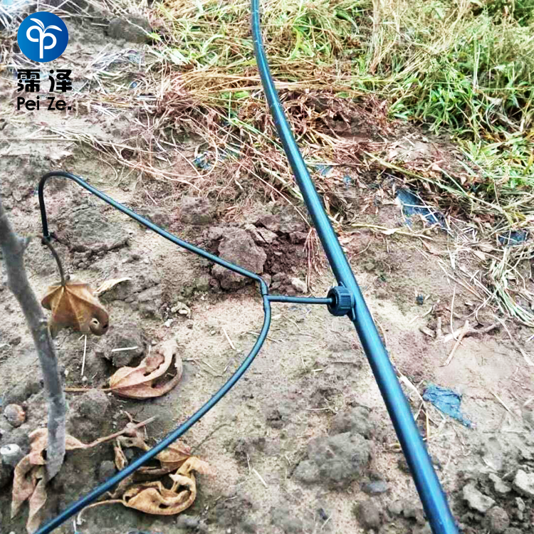 一出二滴箭组合