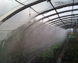 大棚微喷头